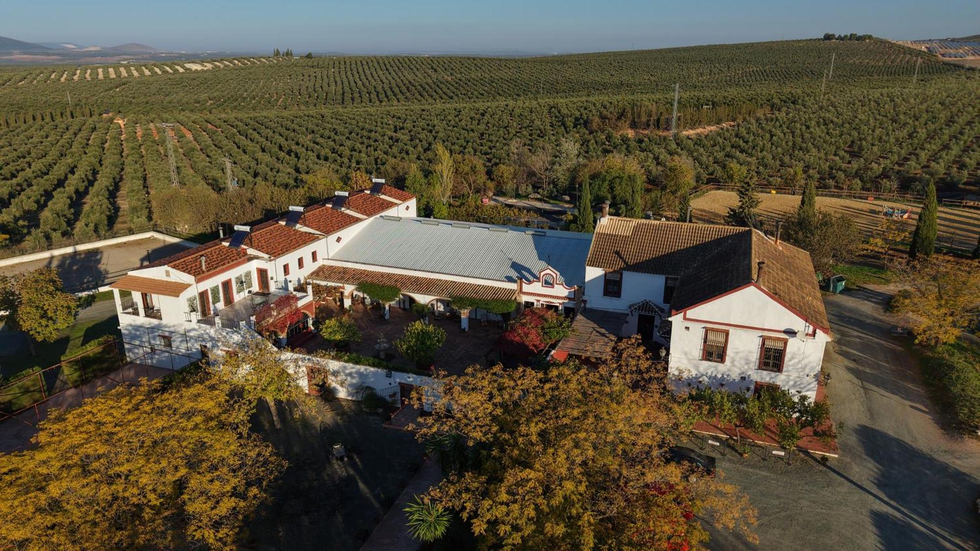 Cortijo Carrillo Bed and Breakfast Cartaojal Buitenkant foto